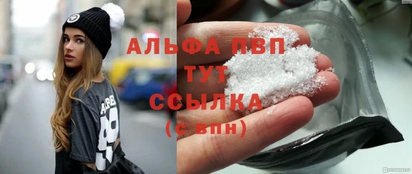 сатива Богданович