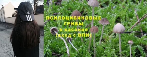 тгк Богородск