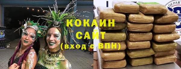 тгк Богородск