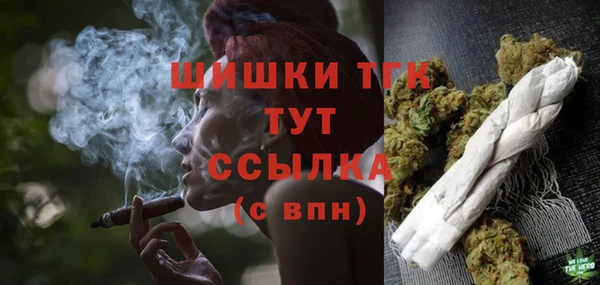 сатива Богданович