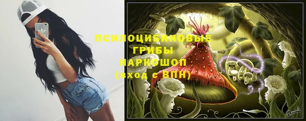 сатива Богданович