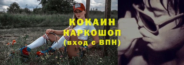 сатива Богданович