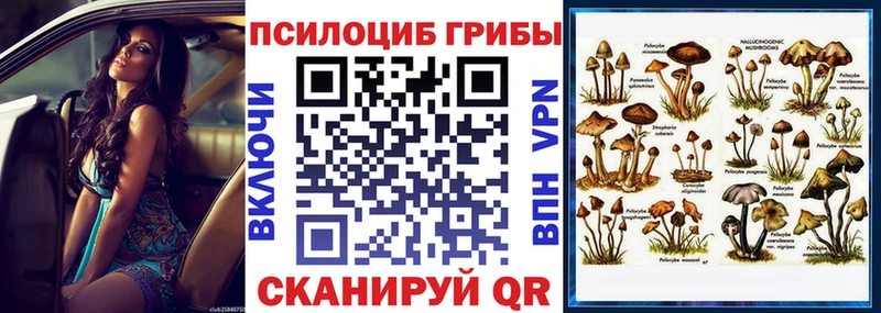 Галлюциногенные грибы Psilocybine cubensis  KRAKEN   Городовиковск  где купить наркоту 